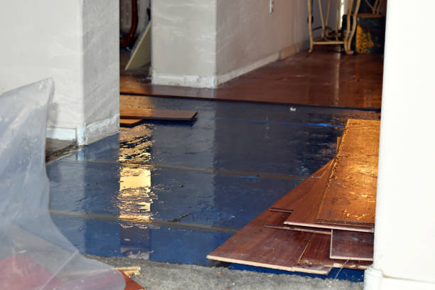 Professional Emergency Water Damage Restoration technician working in Cascade, WI